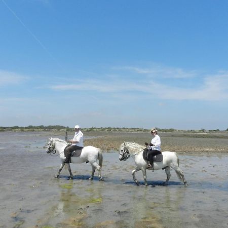 Mas De La Grenouillere Hotel Et Centre Equestre En Pleine Nature Saintes-Maries-de-la-Mer Buitenkant foto