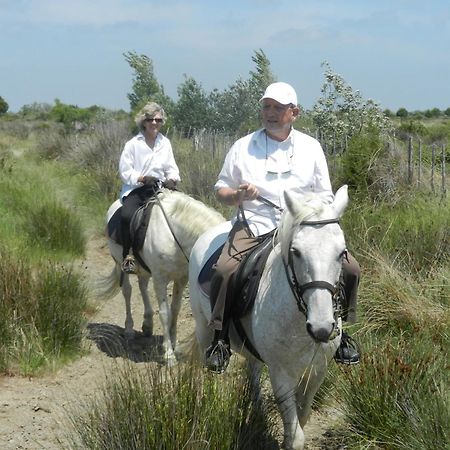 Mas De La Grenouillere Hotel Et Centre Equestre En Pleine Nature Saintes-Maries-de-la-Mer Buitenkant foto