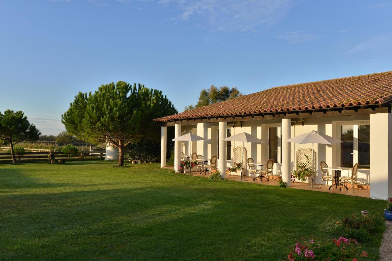 Mas De La Grenouillere Hotel Et Centre Equestre En Pleine Nature Saintes-Maries-de-la-Mer Buitenkant foto