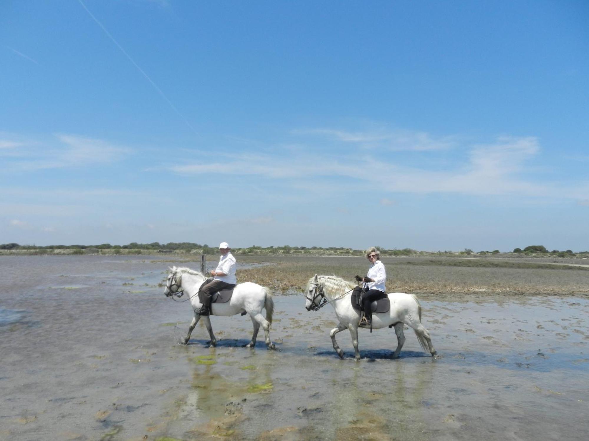 Mas De La Grenouillere Hotel Et Centre Equestre En Pleine Nature Saintes-Maries-de-la-Mer Buitenkant foto