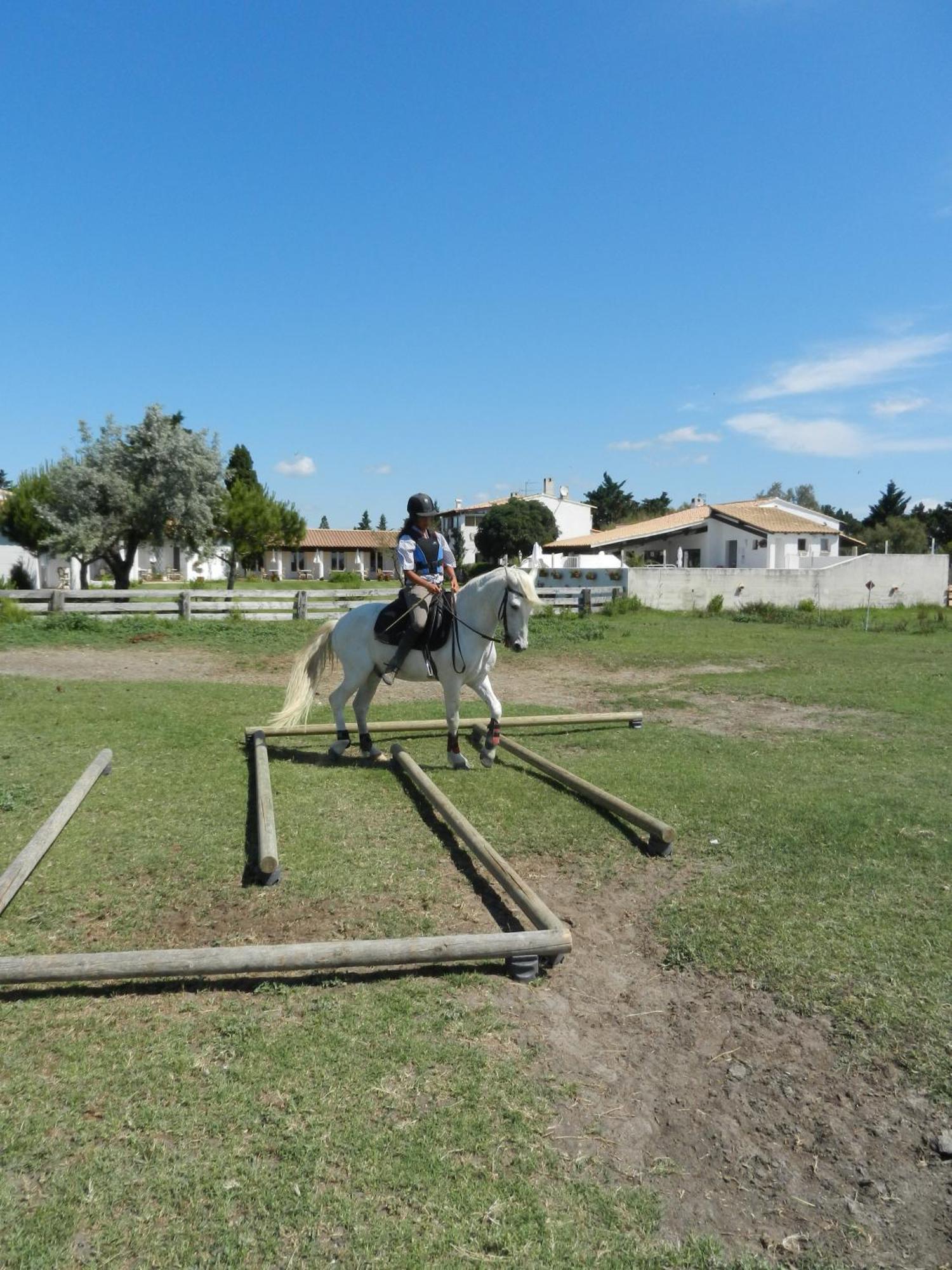 Mas De La Grenouillere Hotel Et Centre Equestre En Pleine Nature Saintes-Maries-de-la-Mer Buitenkant foto