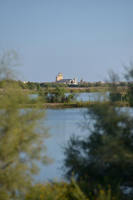 Mas De La Grenouillere Hotel Et Centre Equestre En Pleine Nature Saintes-Maries-de-la-Mer Buitenkant foto