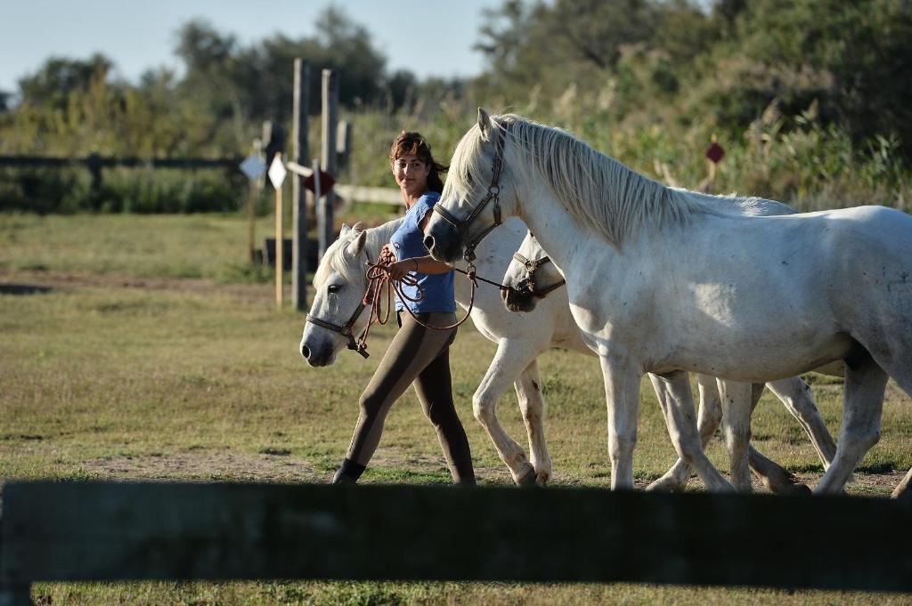 Mas De La Grenouillere Hotel Et Centre Equestre En Pleine Nature Saintes-Maries-de-la-Mer Buitenkant foto