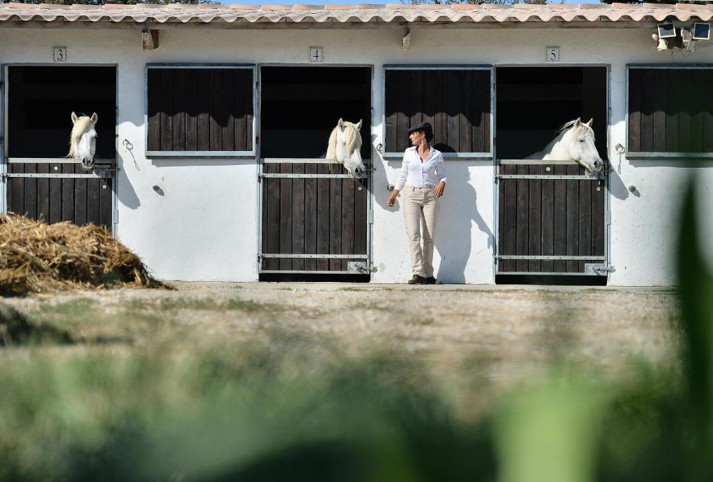 Mas De La Grenouillere Hotel Et Centre Equestre En Pleine Nature Saintes-Maries-de-la-Mer Buitenkant foto