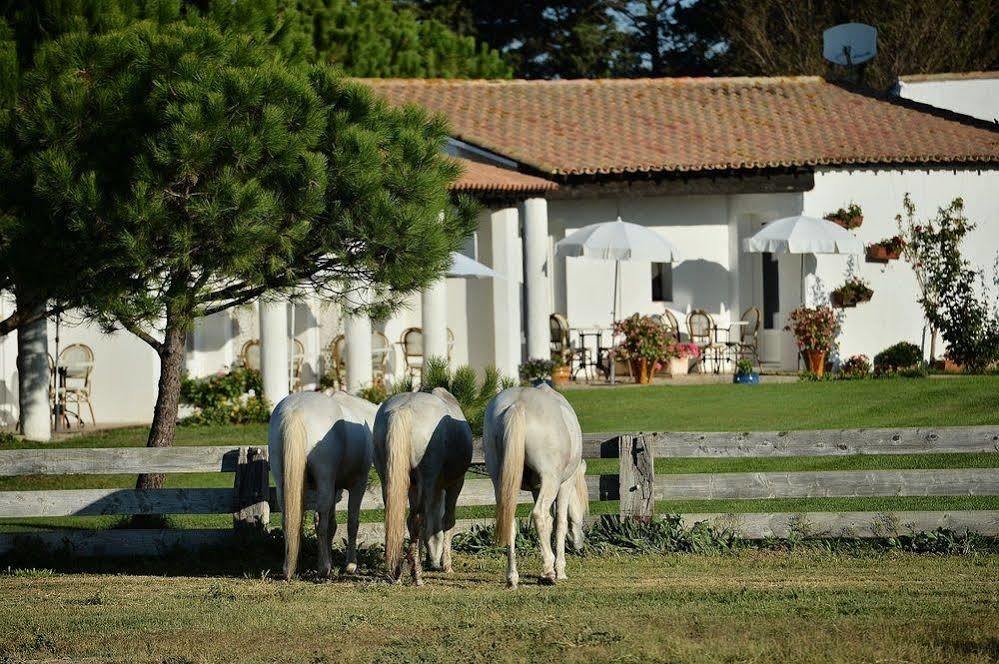 Mas De La Grenouillere Hotel Et Centre Equestre En Pleine Nature Saintes-Maries-de-la-Mer Buitenkant foto